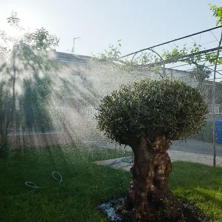 Apartament Stefania Rovinj